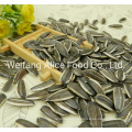 Top Grade Chinese Sunflower Seeds Food Ingredients 361/363